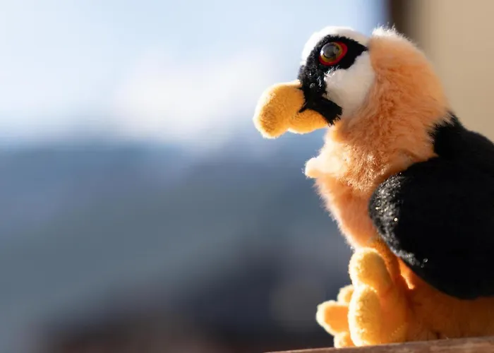 Castellazzi 11 Gipeto Bormio